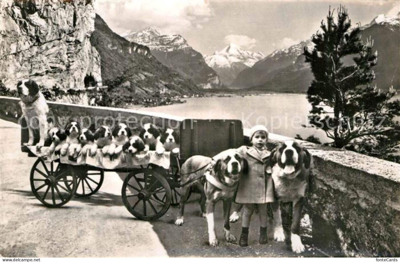 Flueelen UR St Bernhard Zwinger Zwing Uri