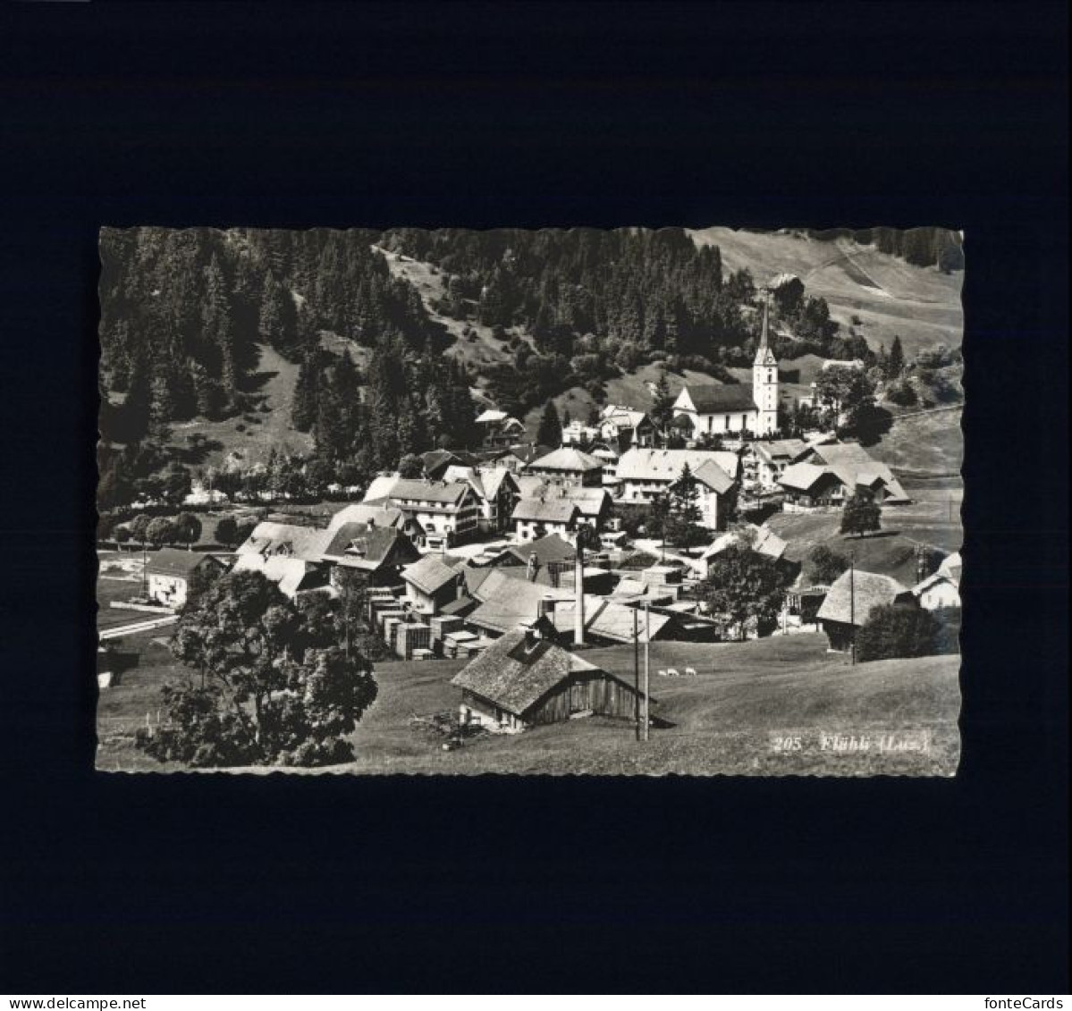 Fluehli Fluehli