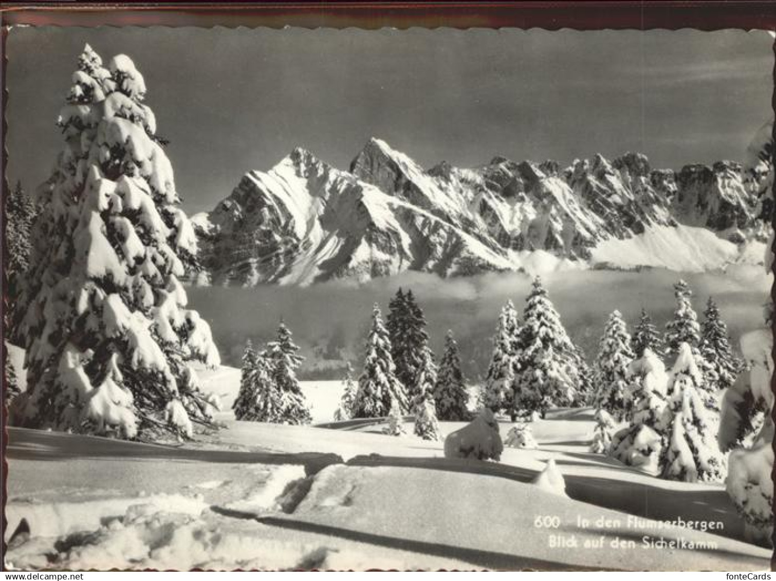 Flums Sichelkamm