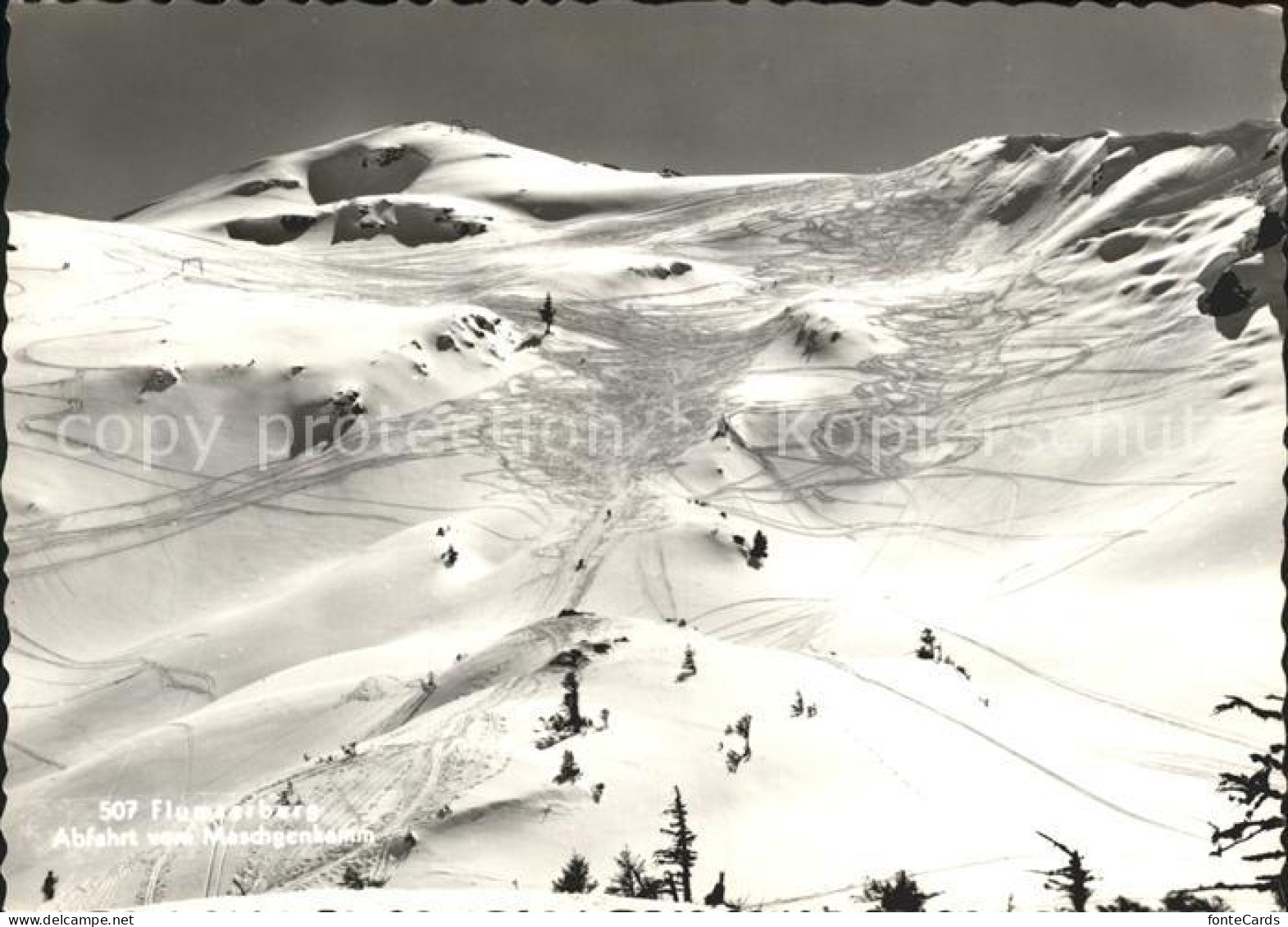 Flumserberg Bergheim Skigebiet