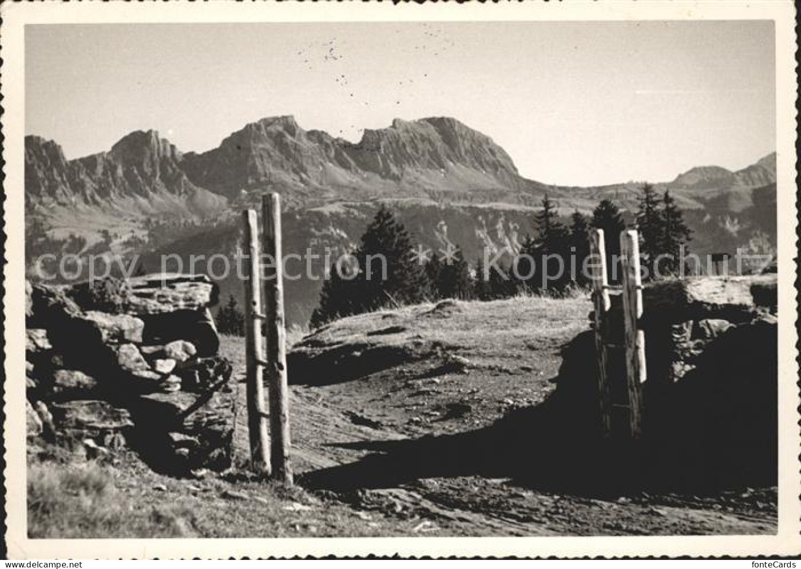 Flumserberg Bergheim Tannenbodenalp