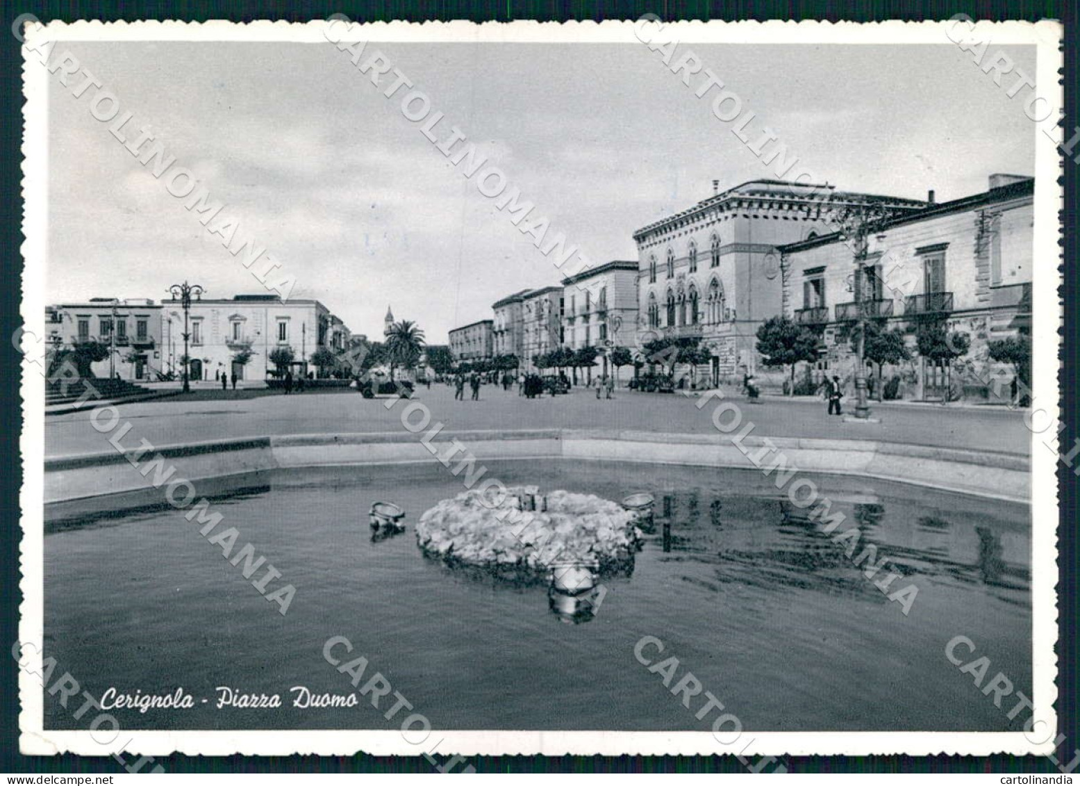 Foggia Cerignola Piazza Duomo Foto FG cartolina WX7200