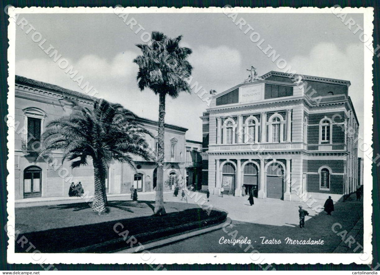 Foggia Cerignola Teatro Mercadante foto FG cartolina WX7195