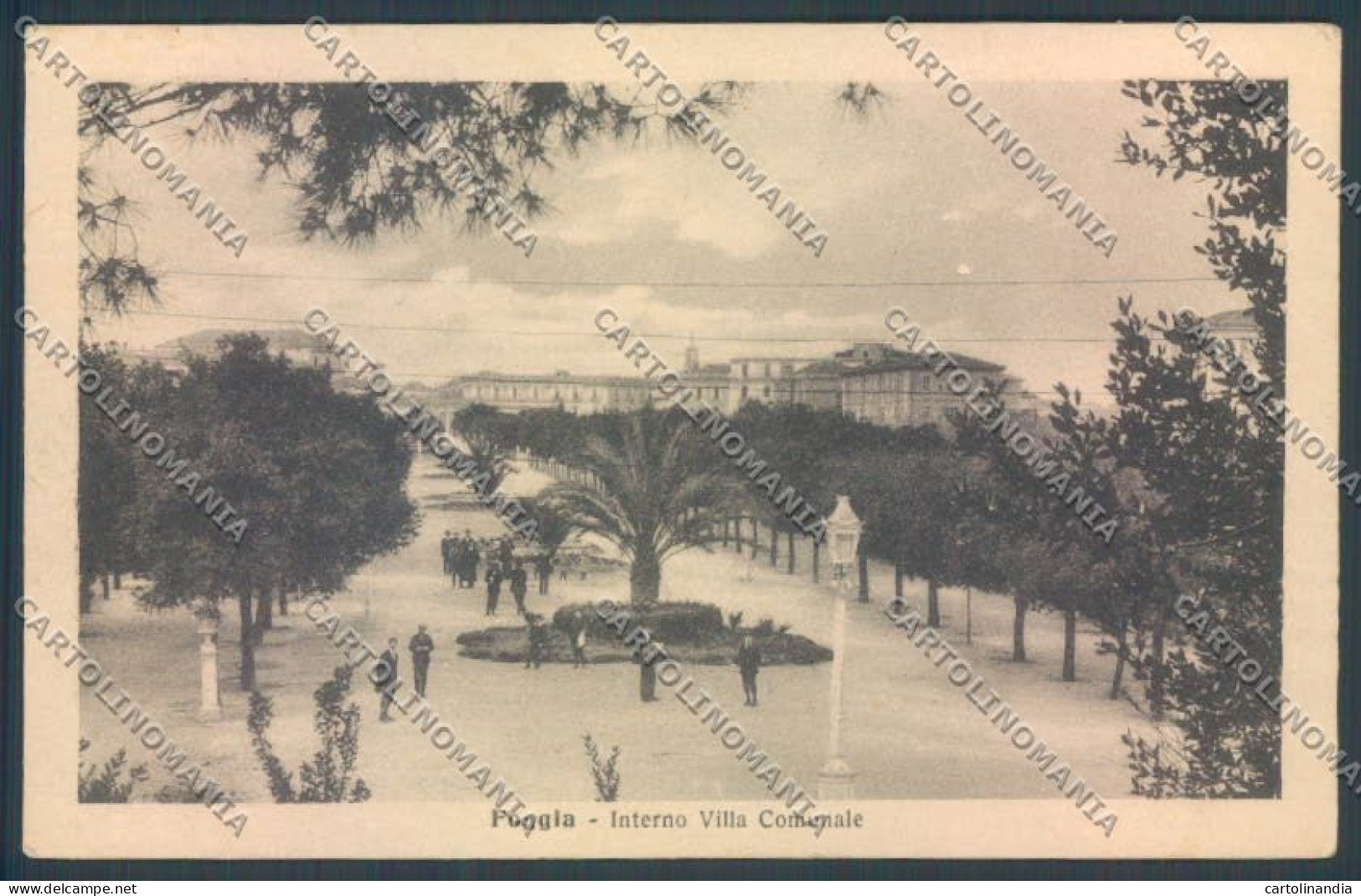 Foggia Città cartolina ZB6957