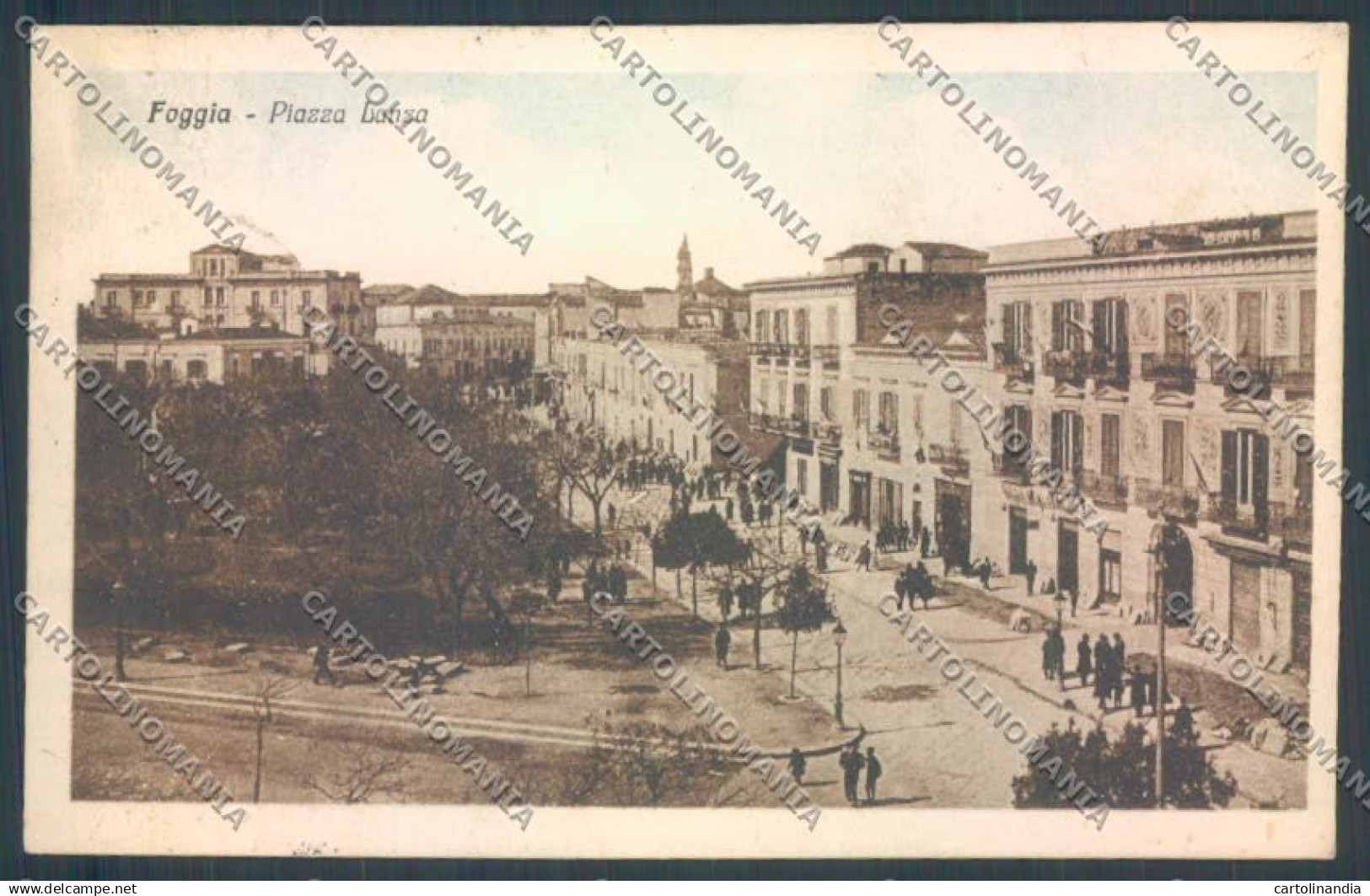 Foggia Città cartolina ZB7002
