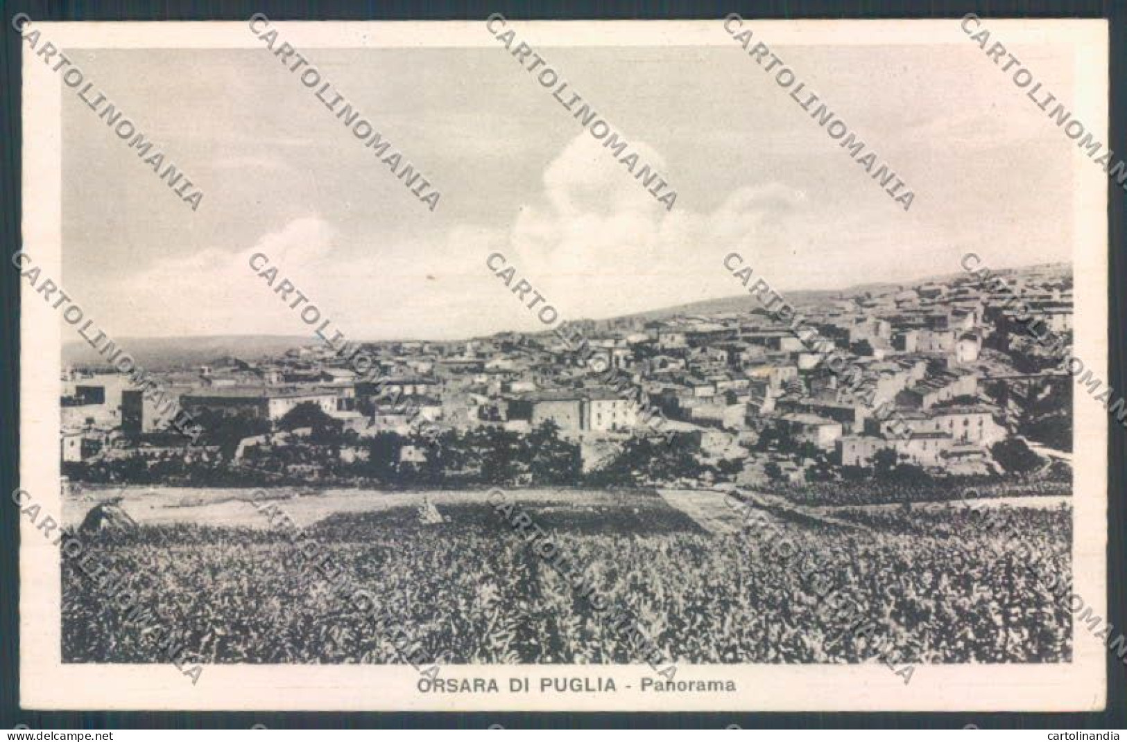 Foggia Orsara di Puglia cartolina ZB6091