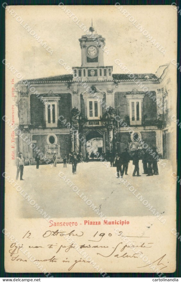 Foggia San Severo Piazza Municipio cartolina VK3560
