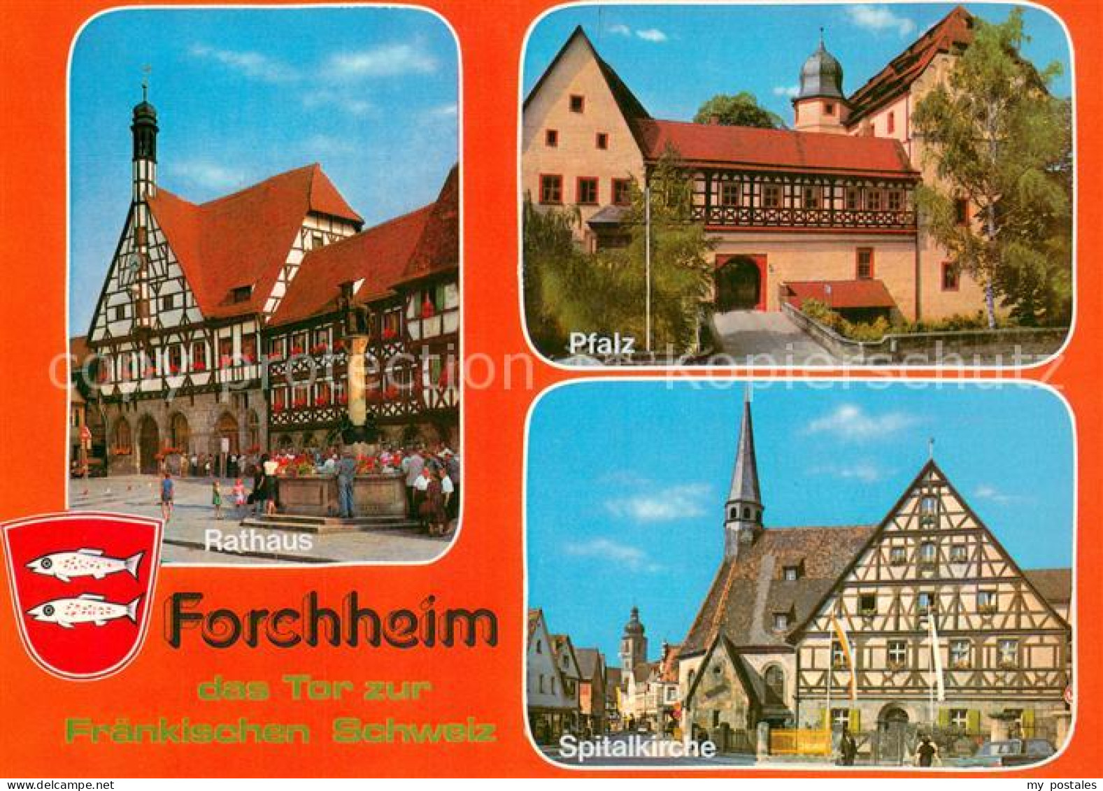 Forchheim Oberfranken Rathaus Pfalz Spitalkirche Fachwerk
