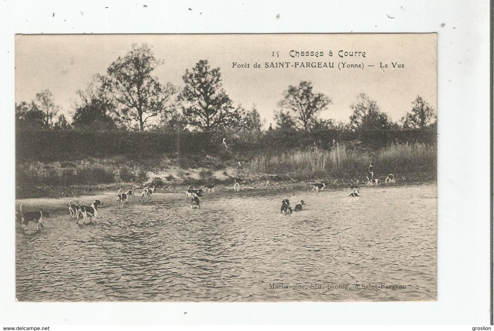 FORET DE SAINT FARGEAU (YONNE) 15 CHASSE A COURRE LA VUE