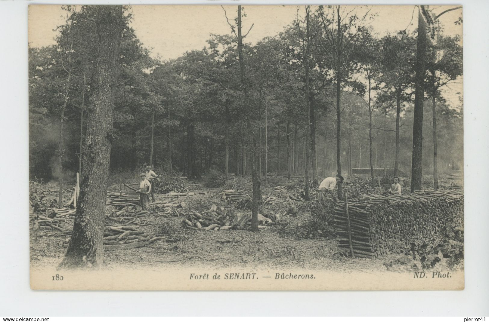 Forêt de SÉNART - Bûcherons