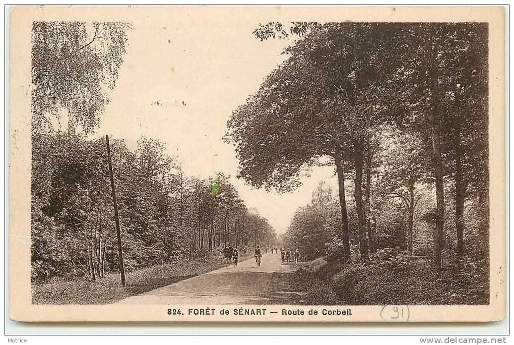 FORËT DE SENART     -   Route de Corbeil..