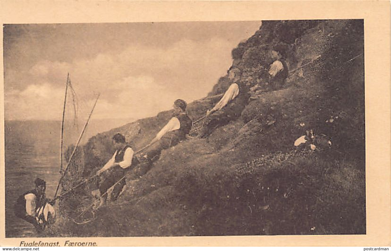 FØROYAR Faroe Islands - Fuglefangst - Bird catching - Publ. unknown