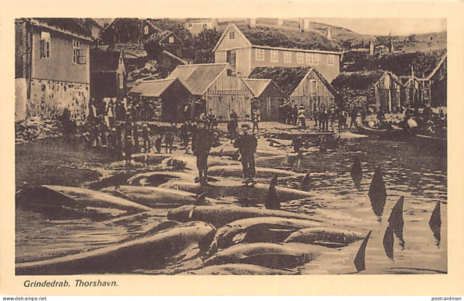 FØROYAR Faroe Islands - TÓRSHAVN - Grindedrab - Publ. Unknown