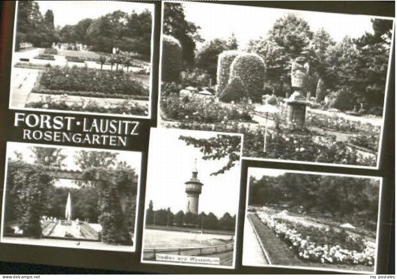 Forst bei Lausitz Rosengarten