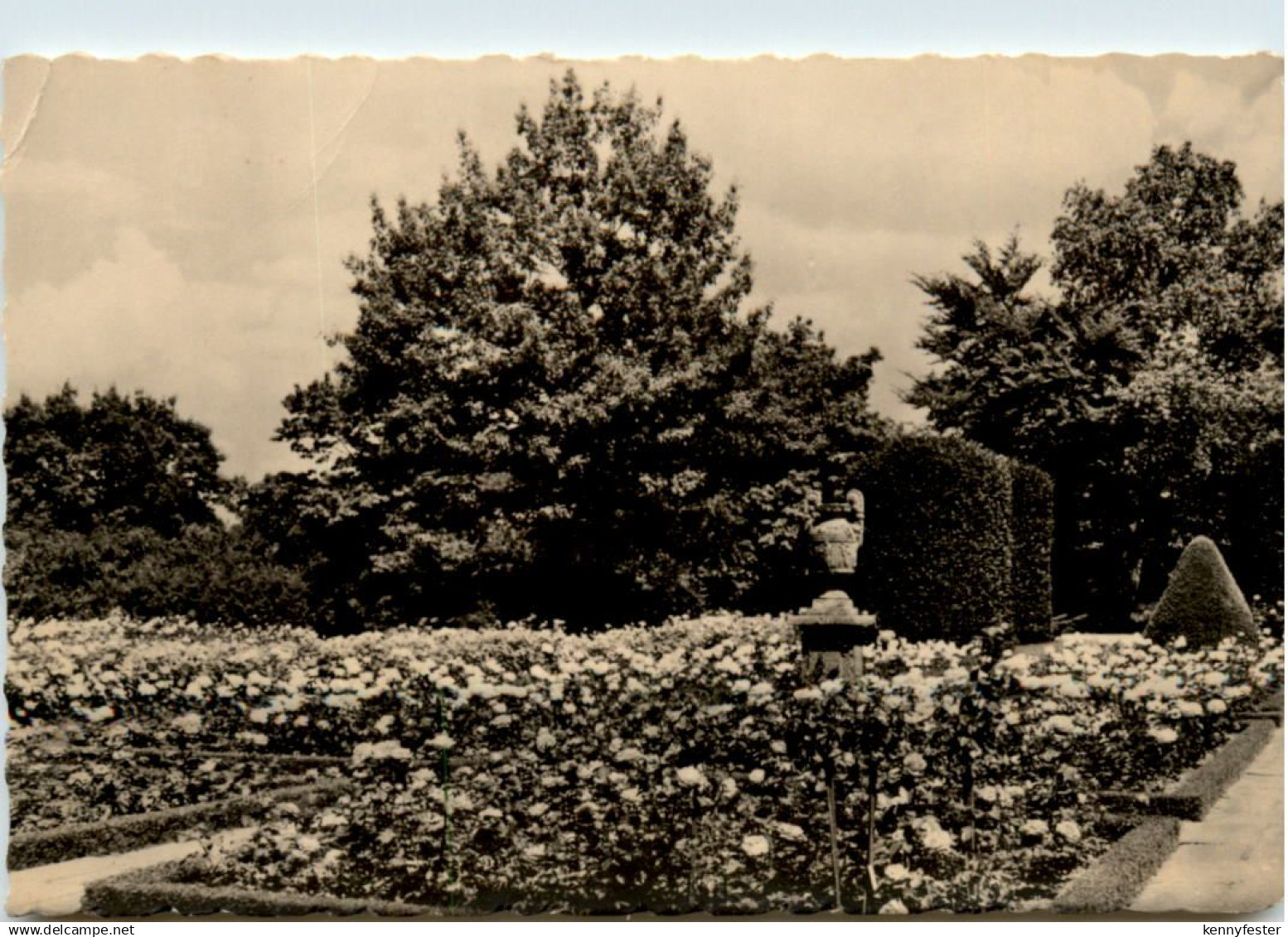 Forst lausitz, Rosengarten