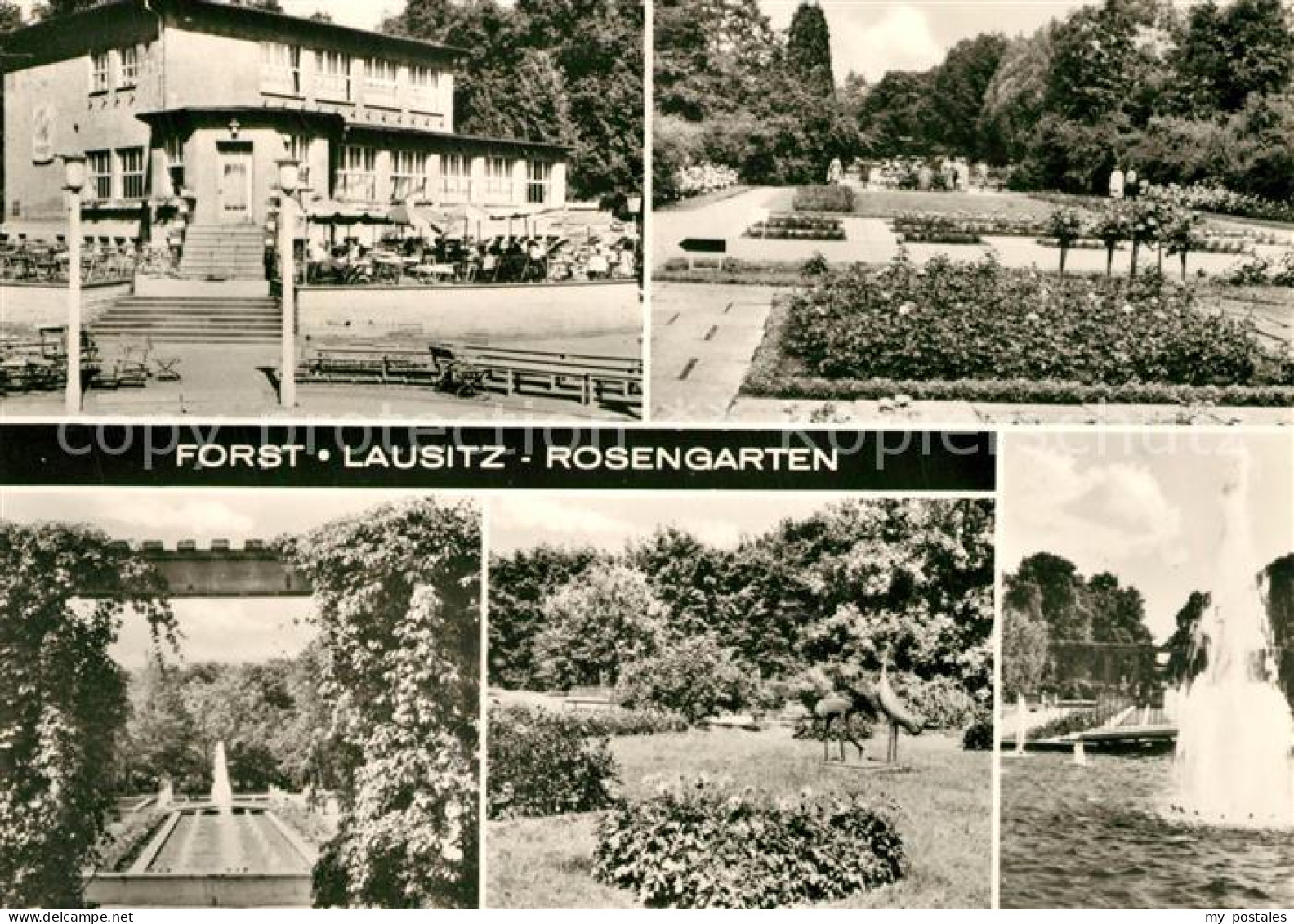Forst Lausitz Rosengarten