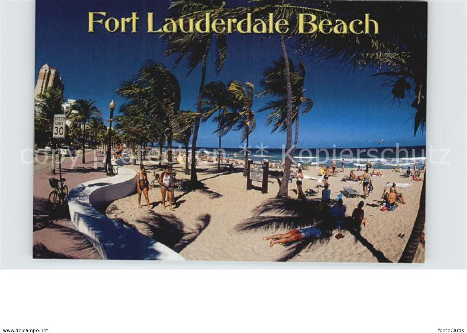 Fort Lauderdale Beach Palmtrees