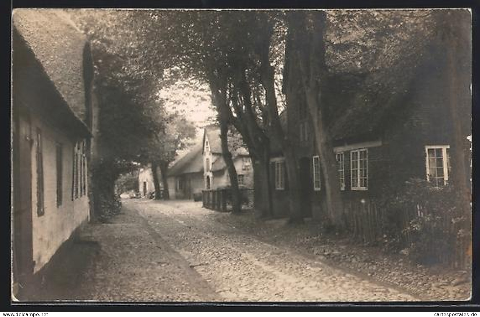 Foto-AK Nieblum /Föhr, Strassenpartie
