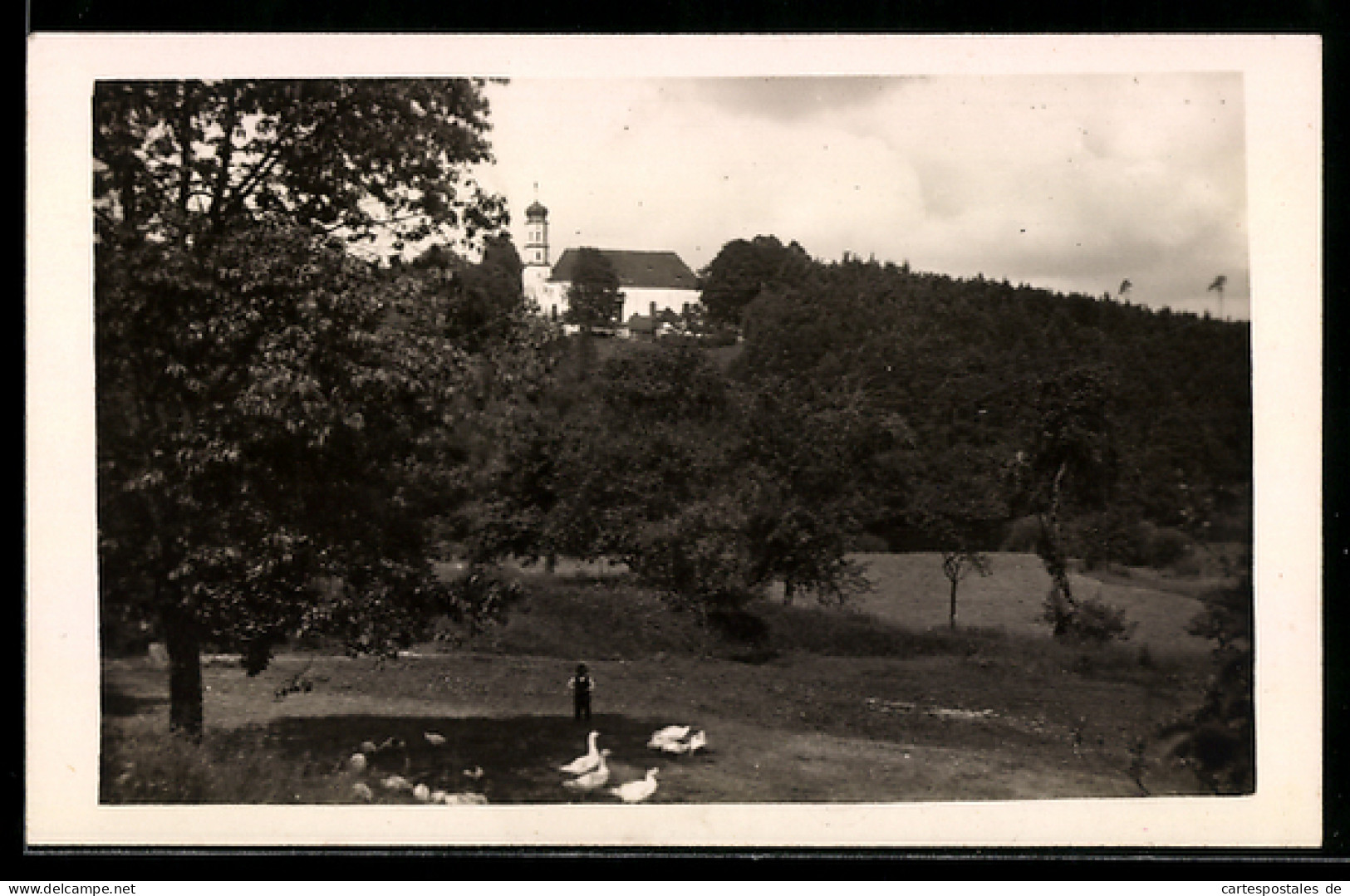 Foto-AK Roding /Opf., Kirche auf einer Anhöhe, Landschaft mit Gänsen