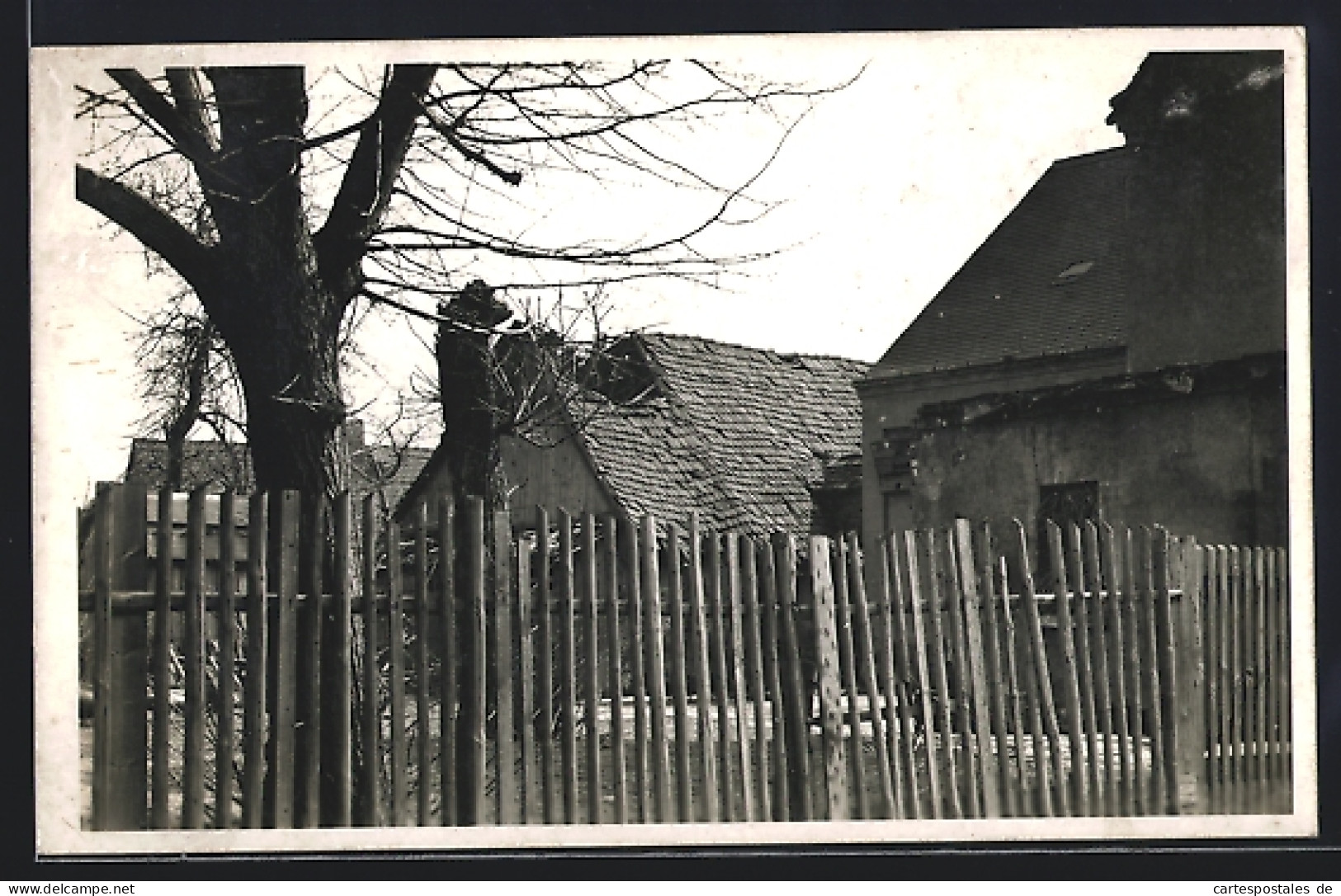 Foto-AK Rötha, Ortspartie mit Zaun