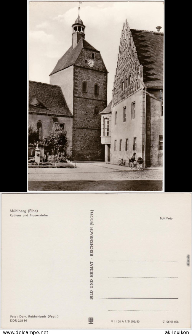 Foto Ansichtskarte Mühlberg Elbe Miłota Rathaus und Frauenkirche 1980