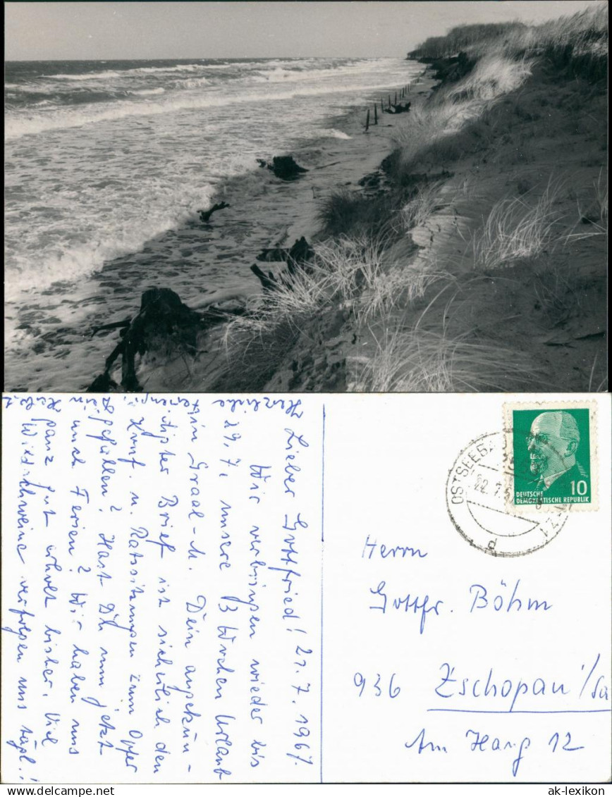 Foto Graal-Müritz Strandpartie 1967 Privatfoto