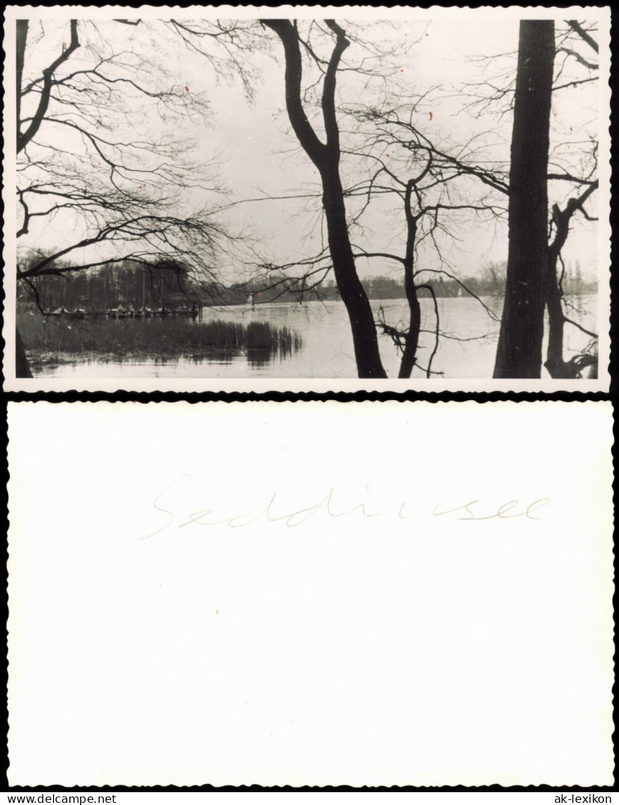 Foto Schmöckwitz-Berlin Partie am Seddinsee 1950 Privatfoto Foto