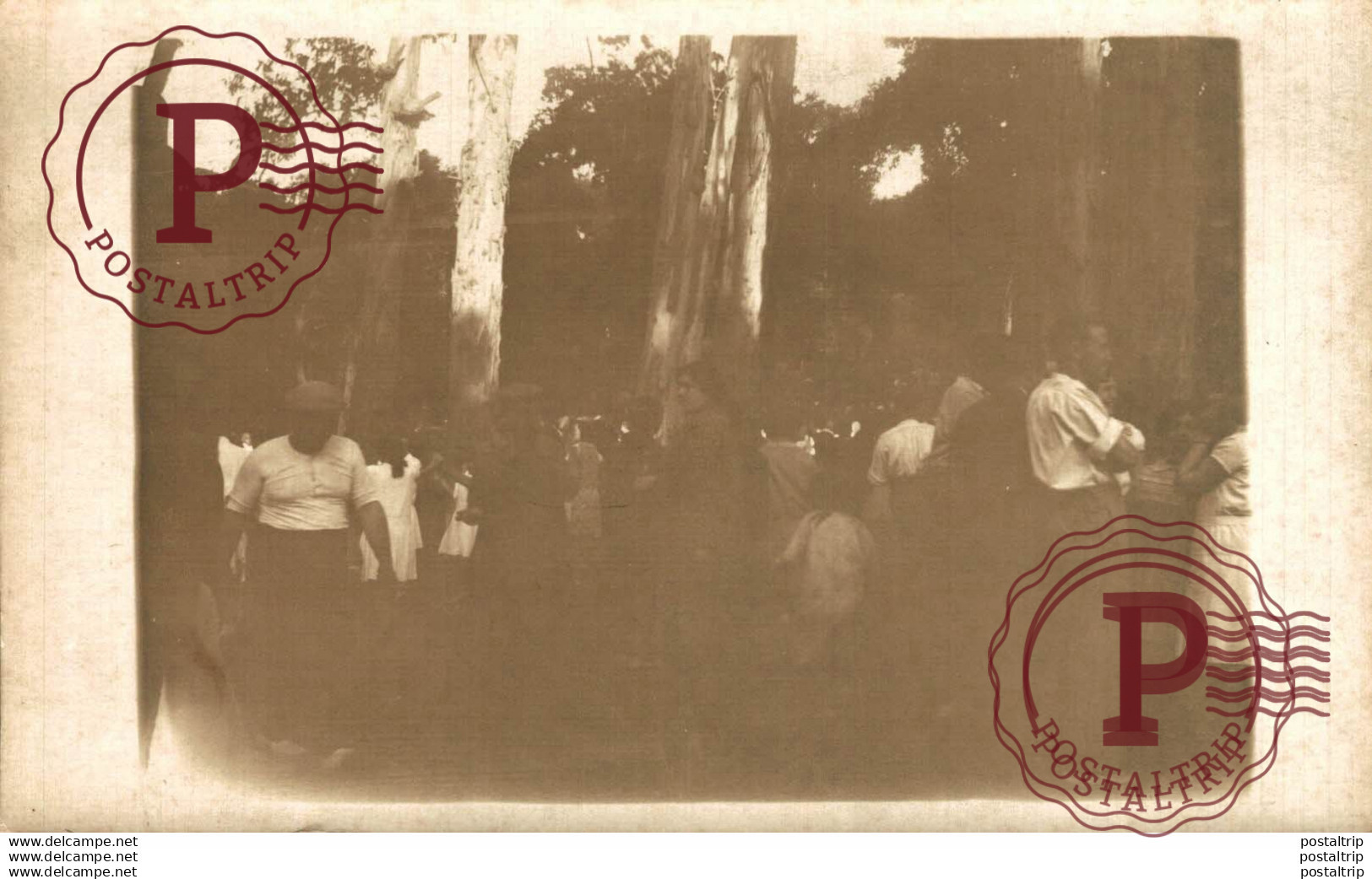 FOTOGRAFICA. SIN IDENTIFICAR.