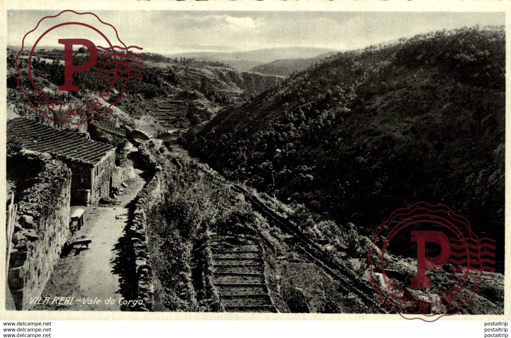 FOTOPOSTAL  PORTUGAL - VILA REAL [03] - VALE DO CORGO