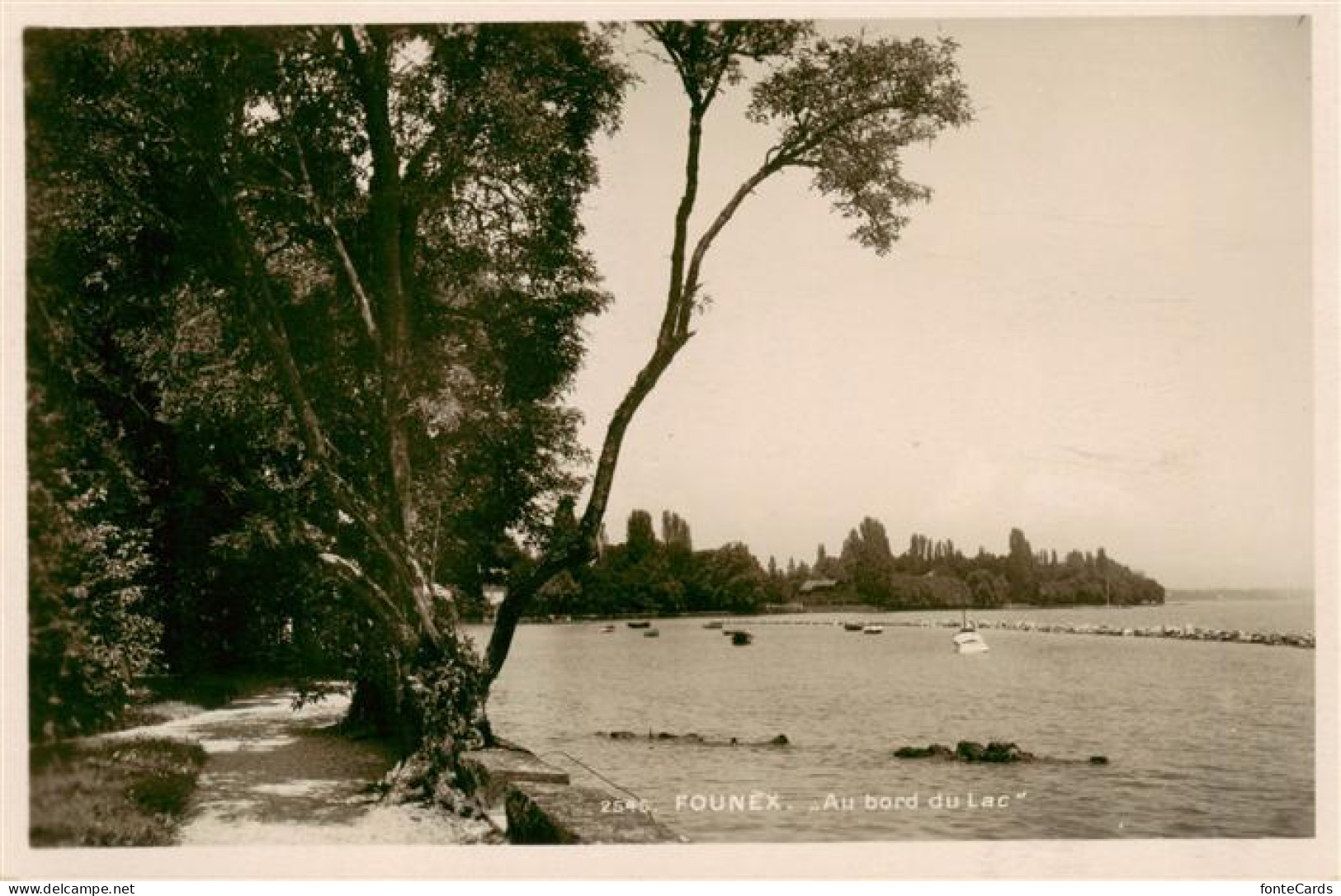 Founex VD Au bord du Lac