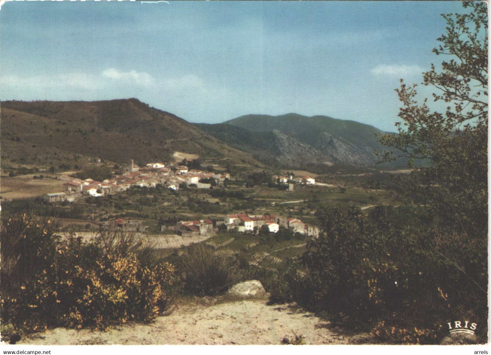 FR66 SOURNIA - CPM 10 * 15 - vue générale  belle