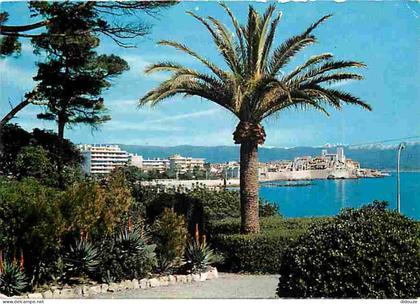 Carte Postale - 06 - Antibes - Vieille Ville - La vieille Ville et les Alpes neigeuses - CPM - Voir Scans Recto-Verso -