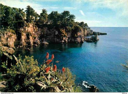 Carte Postale - 06 - Cap d'Antibes - La Garoupe - La Baie de l'Argent faux - CPM - Voir Scans Recto-Verso - Poscard - Ca