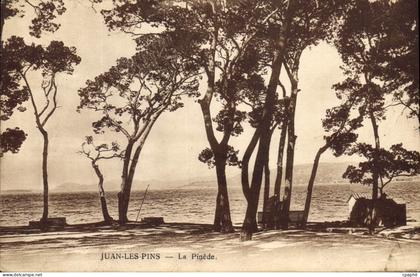 CPA Juan les Pins la Pinede