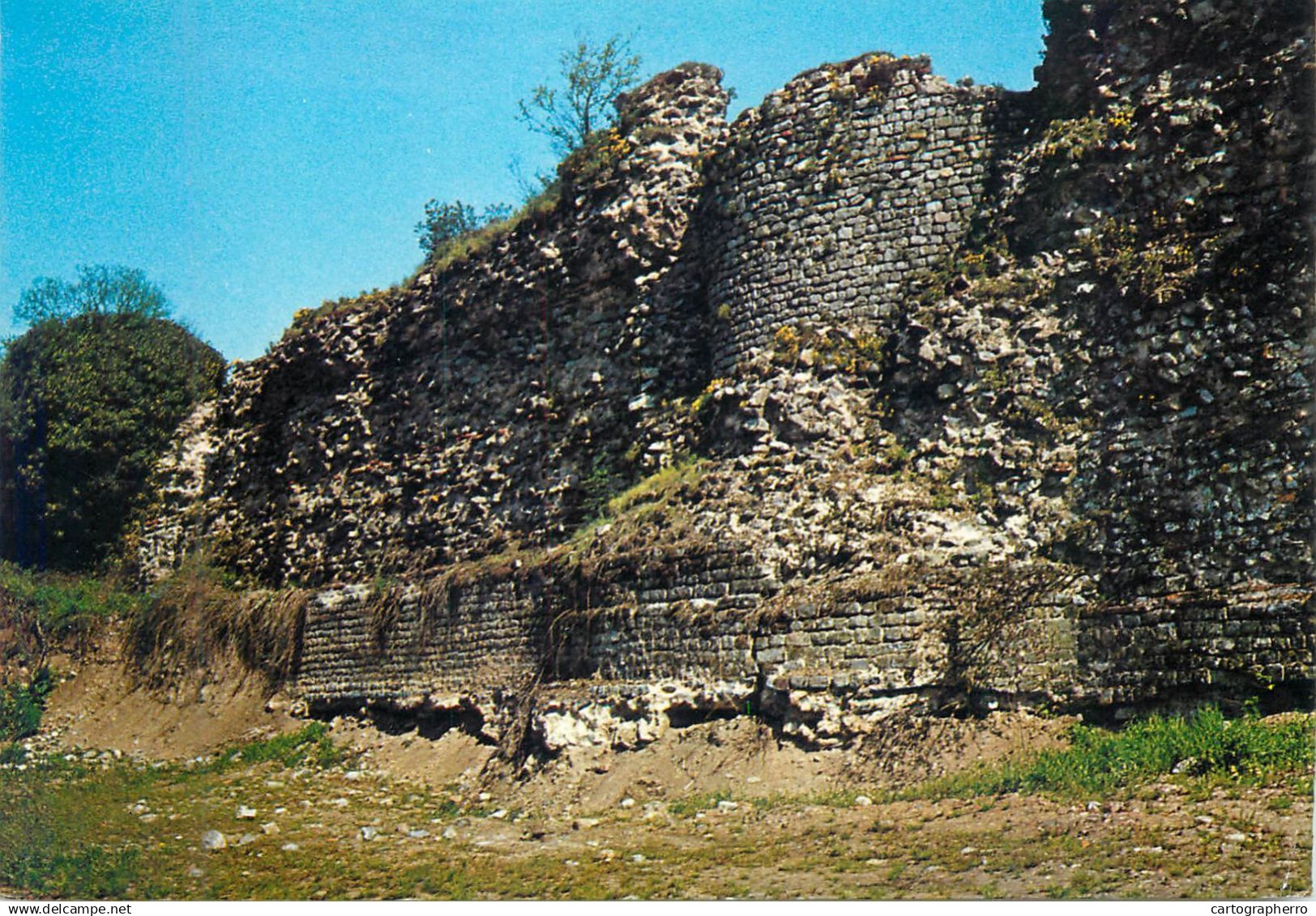 France Bavay