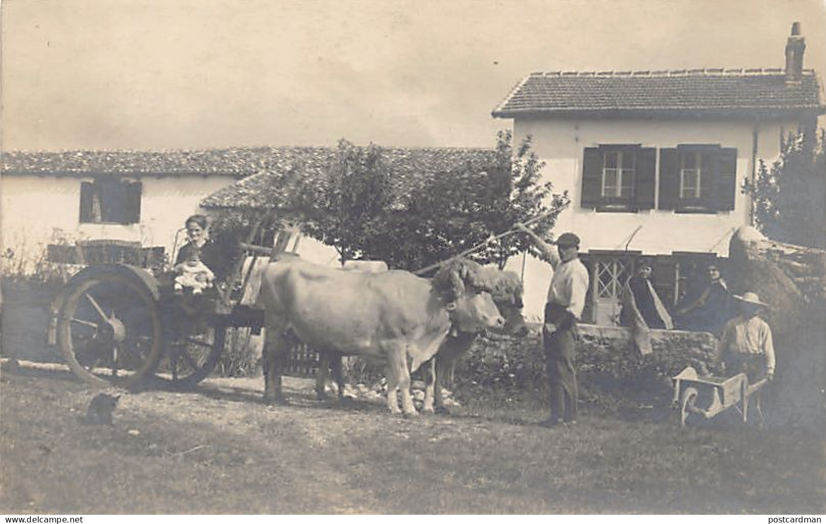 France - BIDART (64) Ferme Oyamburia - CARTE PHOTO
