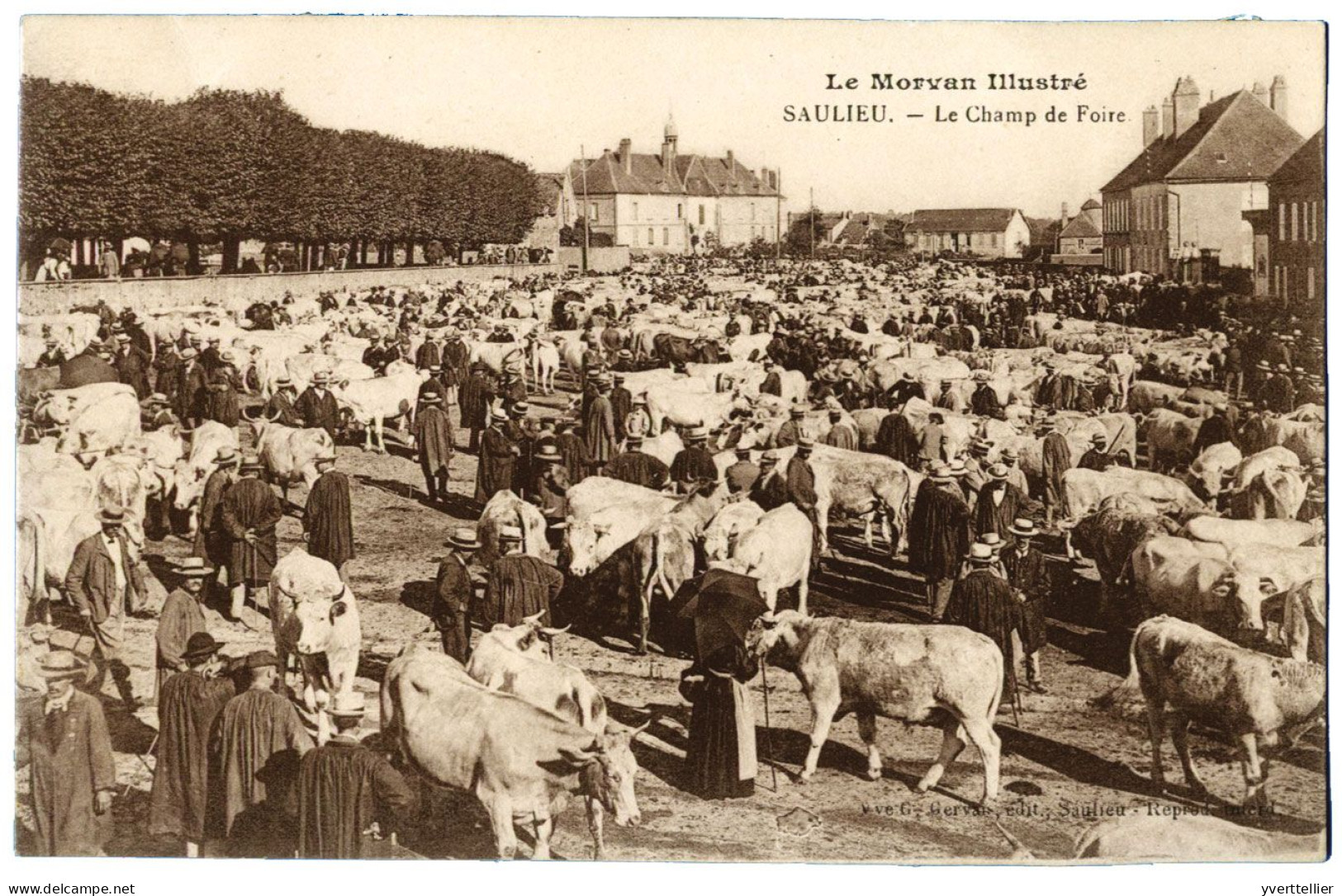 FRANCE carte postale Saulieu, le champs de foire.