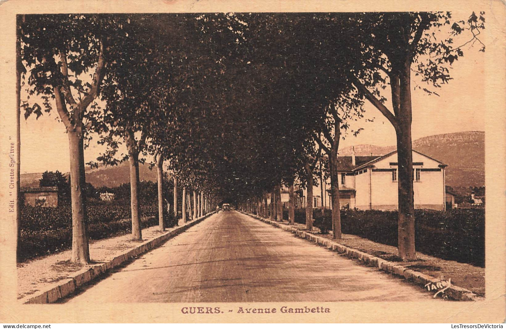 FRANCE - Cuers - Avenue Gambetta - Allées - Arbres - Bâtiments - Collines - CPA