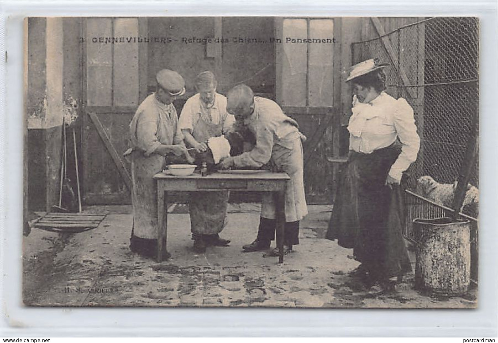 France - GENNEVILLIERS (92) Refuge des chiens - Un pansement - Ed. inconnu II S. 3