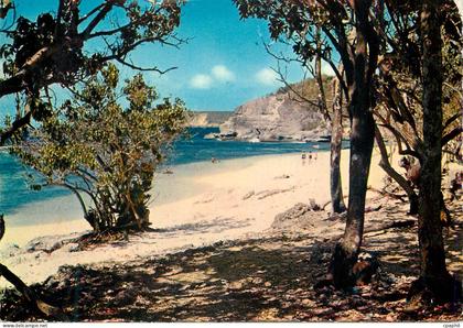 CPM Anse Bertrand Anse Laborde