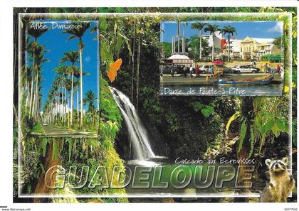 CP GUADELOUPE
