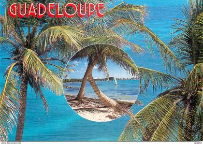 CPM Guadeloupe