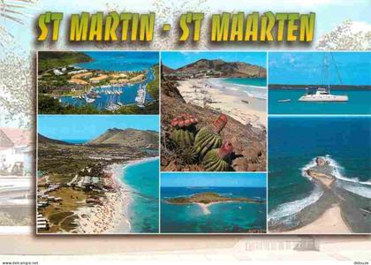 Guadeloupe - Saint Martin - Multivues - Cactus - CPM - Voir Scans Recto-Verso