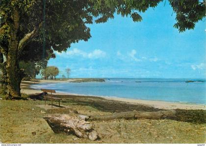 CPM Guyane Francaise Cayenne La plage des Amandiers