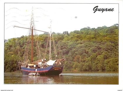 CPM Guyane Francaise Paysage de Guyane