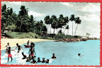 Guyane - Cayenne - Plage de Montabo