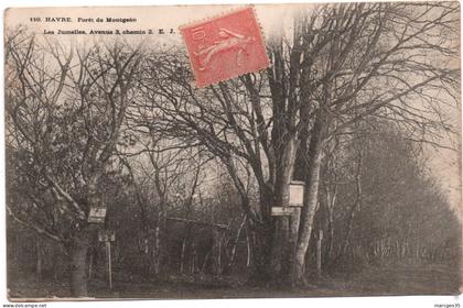 76 havre forêt de montgeon les jumelles avenue 3 chemin 3 édit. E.J. n° 110