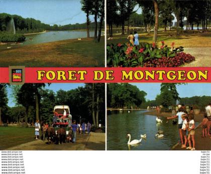 Le Havre - Forêt de Montgeon "multi vues"