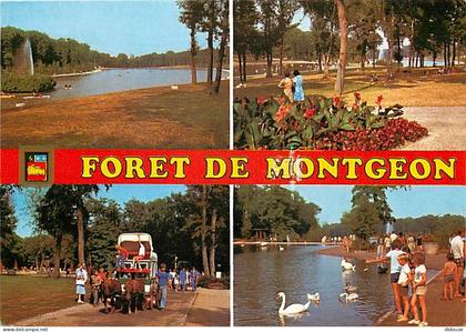 Carte Postale - 76 - Le Havre - Foret de Montgeon - Multivues - Calèche - Chevaux - Cygnes - Flamme Postale de Le Havre