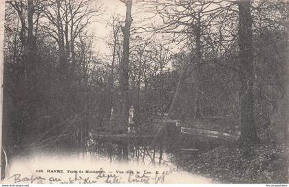 76 LE HAVRE FORET DE MONTGEON